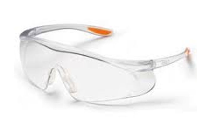 Safety goggles and eye protection